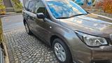 Subaru Forester 2.0X Active Active - Subaru Forester Active mit Benzin-Antrieb