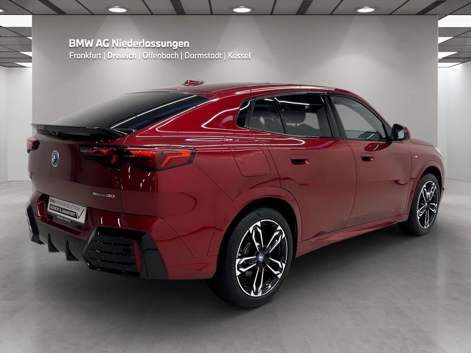 BMW iX2 xDrive30 M Sport AHK Driv.Assist.Prof LED foto 4