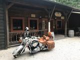 Indian Chief Vintage - INDIAN CHIEF VINTAGE