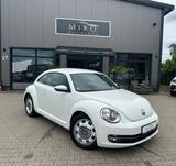 Volkswagen Beetle Lim. Design - gebrauchte Kleinwagen in Delmenhorst