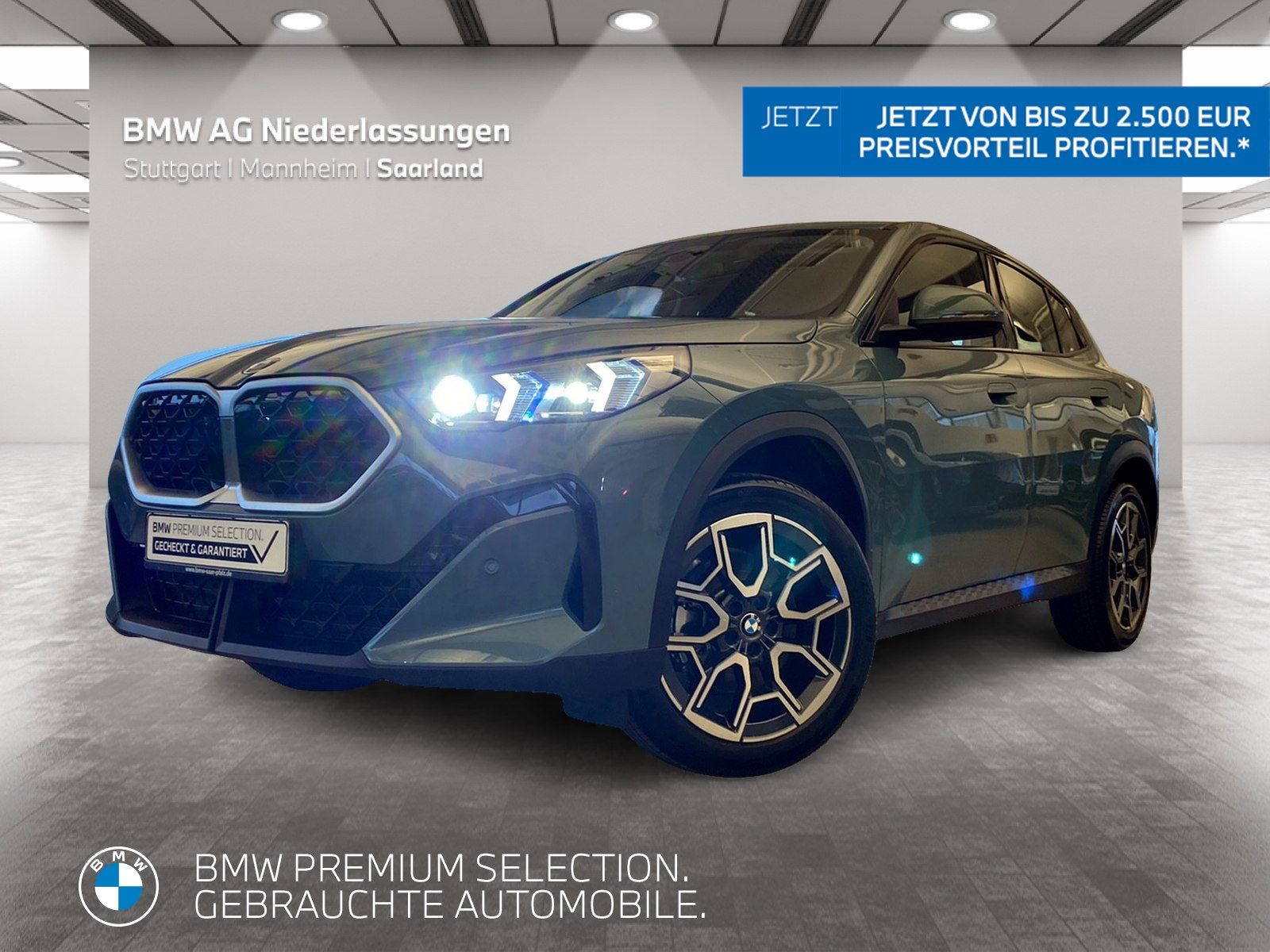BMW X2 sDrive20i Kamera Driv.Assist LED Sitzheizung
