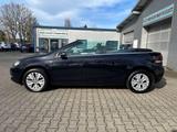 Volkswagen Golf Cabriolet 2,0 TDI BMT  Life  - Volkswagen Golf mit Diesel-Antrieb: Cabrio, 2.0