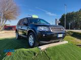 Land Rover Freelander 2.2 TD4 - 150cv UNICO PROP - Land Rover Freelander aus 2013