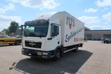 MAN TGL 8.180FG - Offers