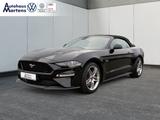 Ford Mustang Convertible GT 5.0 Ti-VCT V8 Klima Navi - gebrauchte Cabrios