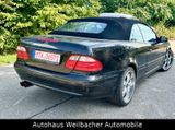 Mercedes-Benz CLK 430 AVANTGARDE Automatik * Super-Optik * - Mercedes-Benz CLK 430