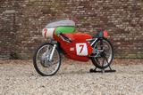 Kreidler Racer 50cc "HES-team" 50cc racer with internatio - KREIDLER MOTORRAD