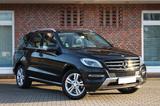 Mercedes-Benz ML 250 CDI 4Matic *NAV*KLIM*BXEN*LDR*S-DACH*TWT*