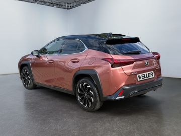 Lexus UX - 7