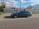 Mercedes-Benz E 220 CDI T ELEGANCE Elegance - gebrauchte Mercedes-Benz E 220 aus dem Jahr 2008