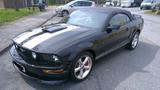 Ford Mustang Cabrio V8 - Ford Mustang Gebrauchtwagen in Braunschweig