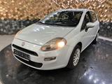 Fiat Punto Pop 1.2  /Klima/32 € pro Monat - Fiat Punto: 1.3