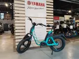 Yamaha Booster Pedelec - Pedelec E-Bikes