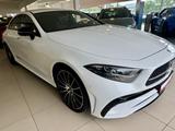 Mercedes-Benz CLS 300 d 4Matic 9G-TRONIC AMG Line - Mercedes-Benz CLS 300 Gebrauchtwagen