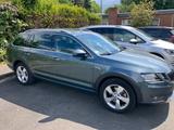 Skoda Octavia Scout 2.0 TSI DSG 4x4  Neuwertig - Skoda Octavia mit Benzin-Antrieb: Allradantrieb, Kombi, 2.0