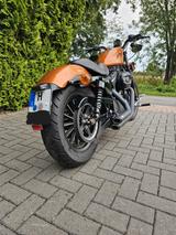 Harley-Davidson 883 Top Gepflegt, Vance&Hines, u.v.m. - HARLEY-DAVIDSON VON 751 BIS 1000 CCM
