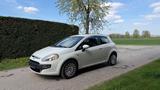 Fiat Punto Evo MyLife*TÜV*AC - weiße Fiat Punto Evo