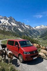 Volkswagen T5 Multivan