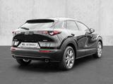 Mazda CX-30 Exclusive-Line 2WD Exclusive 2.0L e-SKYACT - Mazda CX-30 Tageszulassungen