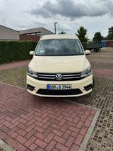 Volkswagen Caddy Maxi m. Rollstuhlumbau