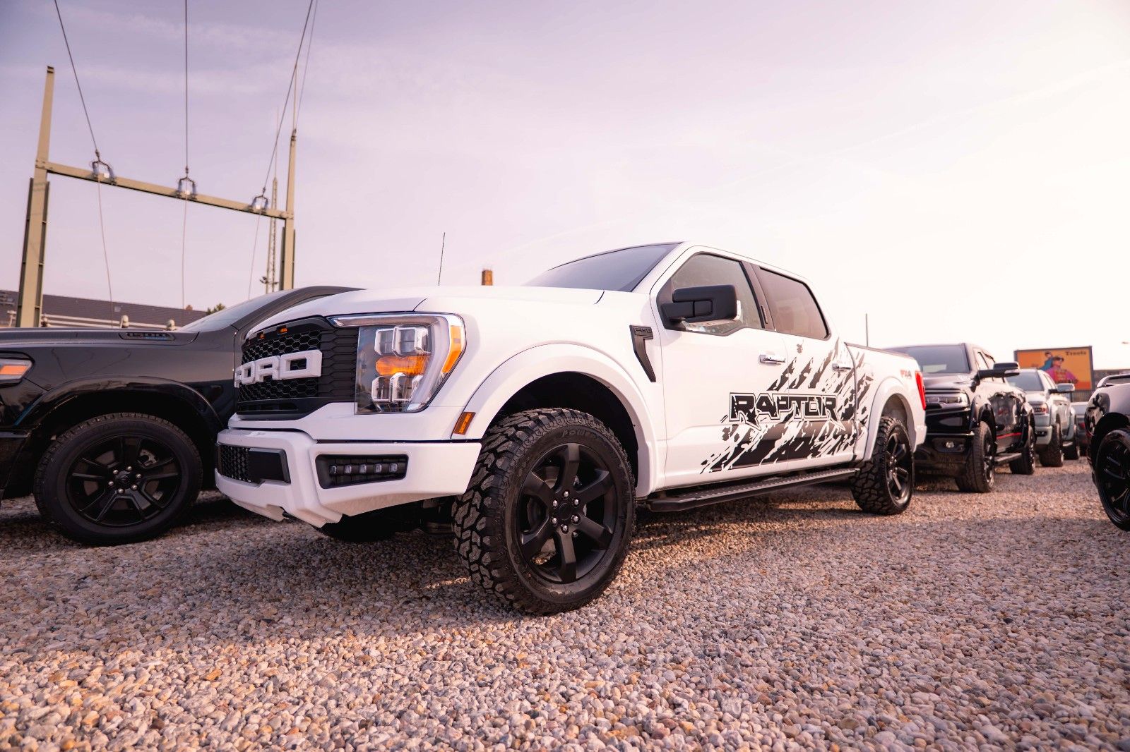 Fahrzeugabbildung Ford F150 5.0L V8 4x4 Offroad SuperCrew RAPTOR 19%