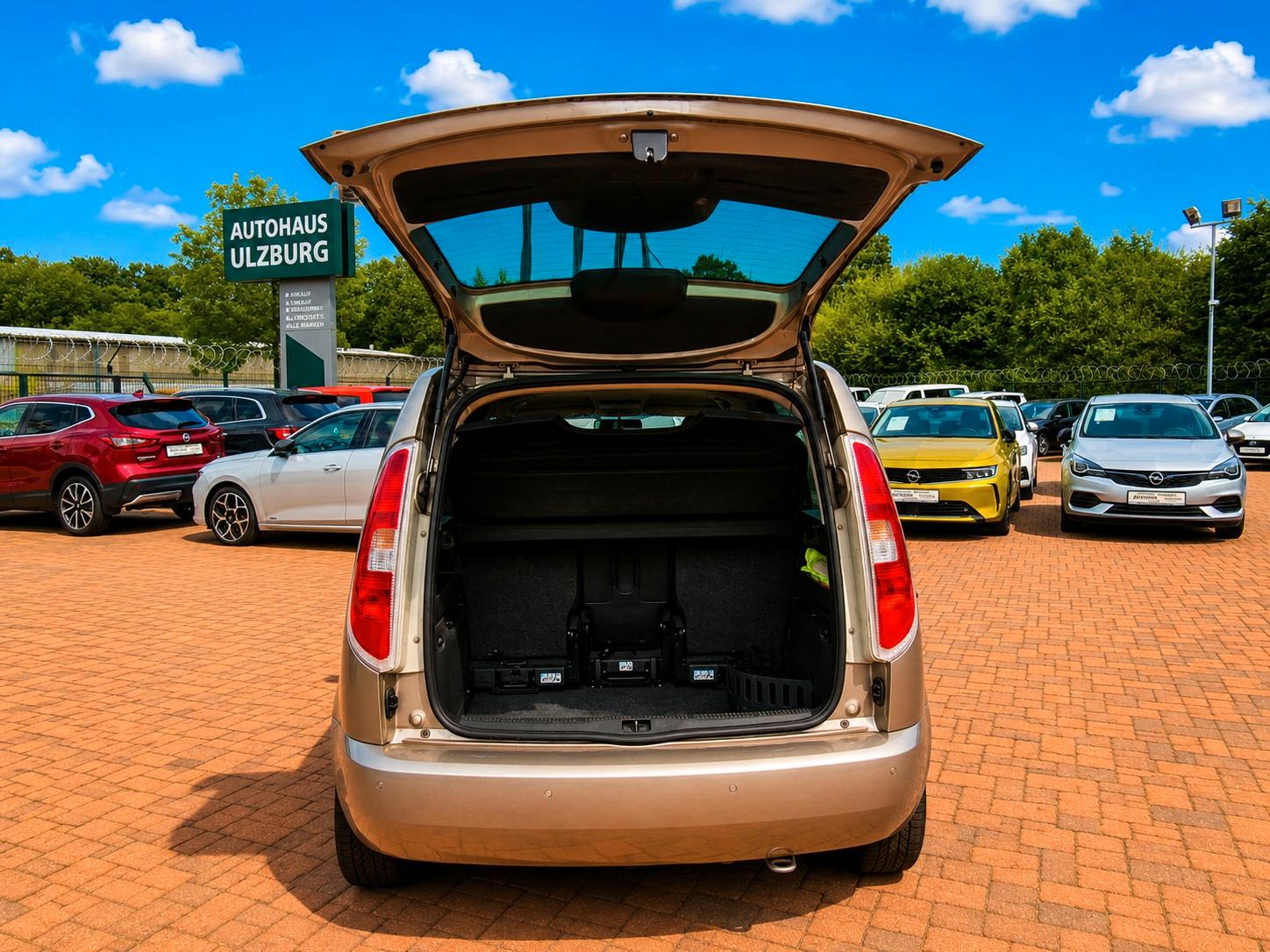 Skoda Roomster 2011 — photo 12