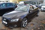 Audi A5 Cabriolet 3.0 TDI quattro - Audi A5 aus 2009: Cabrio