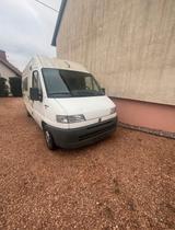 Fiat ducato 2.5TDI Campingausstattung - gebrauchte Fiat Ducato aus dem Jahr 1997