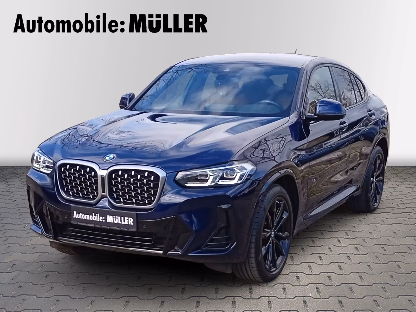 BMW X4 xDrive20d MSport*Lenkardhzg.*HuD*RFK*DAB*Stan