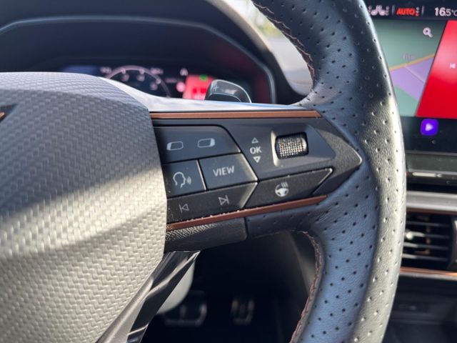 Formentor 2.0 TSI VZ Tribe Edition Navi AHK ACC