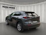 Mazda CX-30 2.0 SKYACTIV-G M Hy. 150 Selection 2WD (E6 - Mazda CX-30 in Hamburg