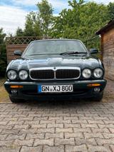 Jaguar XJ 8 in britisch Racing Green - Jaguar XJ8 aus 1999