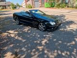 Mercedes-Benz Mercedes CLK 350 Cabrio Designo AMG Paket - Mercedes-Benz CLK AMG Paket