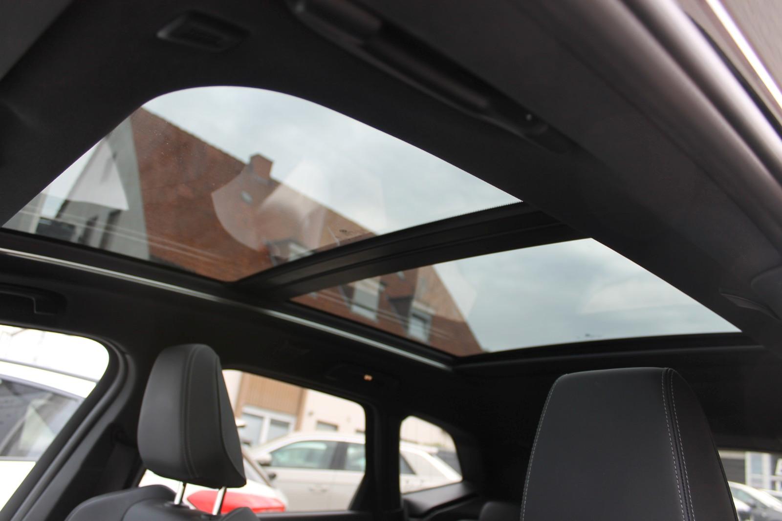 BMW Active 218i/A Navi-Head-Up, Panoramad, миниатюра 24