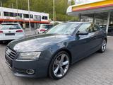 Audi A5 Coupe 2.0 TFSI* 19- Zoll*Vollleder*B.&Olufsen - gebrauchte Audi A5 aus dem Jahr 2008