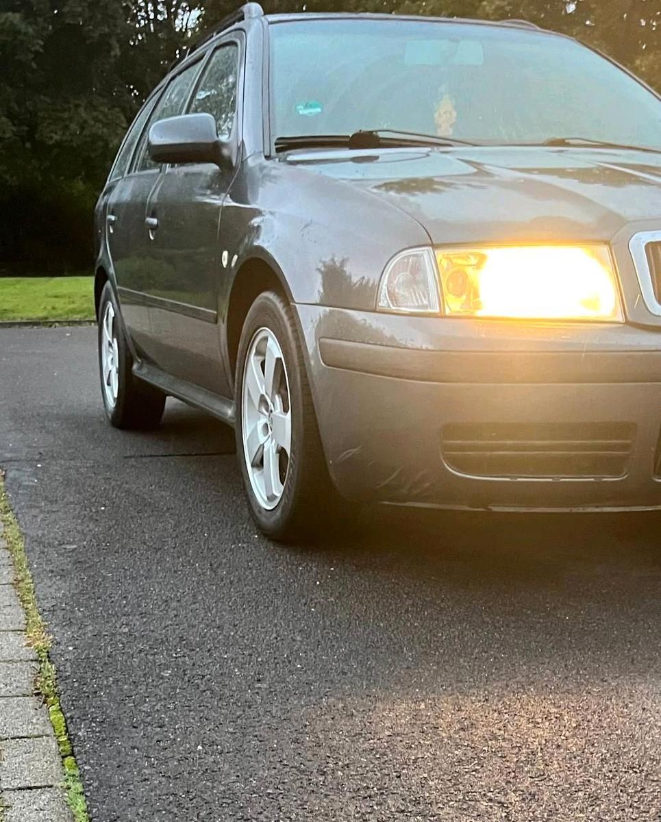 Skoda Octavia 2006 — вигляд ззаду