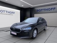Skoda Superb - Vorschau Bild 2