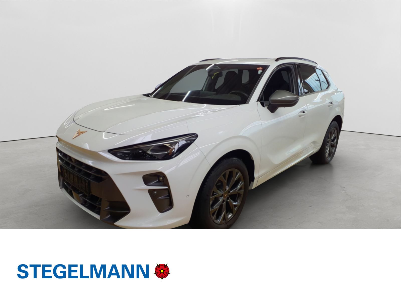 Cupra Terramar - Bild 1