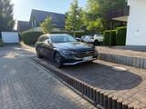 Mercedes-Benz E 300 e T Autom. - AHK - Neuwertig - - Mercedes-Benz E 300 in Dortmund