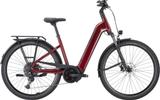 Pegasus STRONG EVO 10 Lite S - 28" - Pegasus E-Bikes