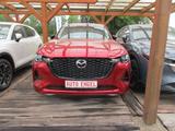 Mazda CX-60 e-SKYACTIV-D Homura DA-P CON-P PRE-COM-P - Mazda CX-60 Tageszulassungen