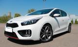 Kia cee'd / Ceed 1.6 T-GDI GT-Track GT-Track - Kia: Winterreifen, Cee D