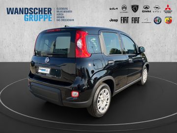 Fiat Panda 1.0 Mild Hybrid MY24 PDC TEMPOMAT SPURHALT