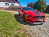 Ford Mustang 2.3 EcoBoost - - Ford Mustang: Ecoboost