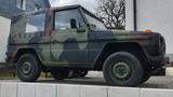 Mercedes-Benz WOLF 250 GD - Mercedes-Benz G-Klasse: Wolf