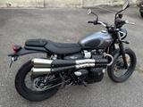 Triumph Street Scrambler 900 - 2017 - wenig km - TÜV neu - Offers matching your search criteria