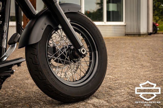 Fahrzeugabbildung Harley-Davidson SOFTAIL SLIM FLSL 107cui - JEKILL&HYDE-KOMPLETT