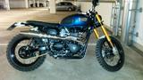 Triumph Scrambler - TRIUMPH SCRAMBLER