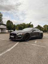 Ford Mustang 2.3 EcoBoost Auto - - gebrauchte Ford Mustang aus dem Jahr 2018