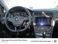 Volkswagen Golf - Vorschau Bild 15